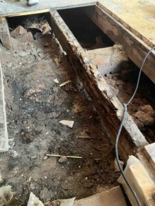 Woodworm Survey and Treatment In Glasgow